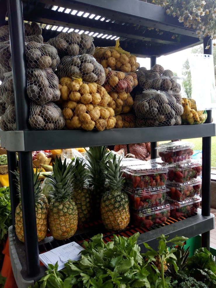 IMG_20181013_114155303